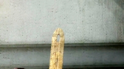 لاروا (فصل 1 - قسمت 18)